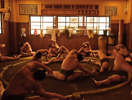 Được vỗ béo, có sức khỏe vô địch, trải qua cuộc đời một vận động viên Sumo, được đứng trên đỉnh vinh quang, được tôn sùng nhưng những họ phải đối mặt với rất nhiều nguy cơ sau này đặc biệt khi giải nghệ. Ảnh: Viettime Được vỗ béo, có sức khỏe vô địch, trải qua cuộc đời một vận động viên Sumo, được đứng trên đỉnh vinh quang, được tôn sùng nhưng những họ phải đối mặt với rất nhiều nguy cơ sau này đặc biệt khi giải nghệ. Ảnh: Viettime