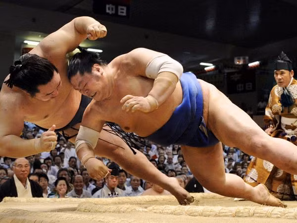 Tuy nhiên theo Bs. Nguyễn Trọng Anh Trưởng Trung tâm Y học Thể thao và Nội soi Khớp (ASMC) lại cho rằng:"Các chỉ số huyết áp, đường huyết và mỡ trong máu của võ sĩ đều rất tốt theo nhiều nghiên cứu y khoa trên thế giới. Có lẽ do cơ thể họ thích nghi với loại hình "chuyển hoá mỡ riêng biệt". Tuy nhiên theo Bs. Nguyễn Trọng Anh Trưởng Trung tâm Y học Thể thao và Nội soi Khớp (ASMC) lại cho rằng:"Các chỉ số huyết áp, đường huyết và mỡ trong máu của võ sĩ đều rất tốt theo nhiều nghiên cứu y khoa trên thế giới. Có lẽ do cơ thể họ thích nghi với loại hình "chuyển hoá mỡ riêng biệt".