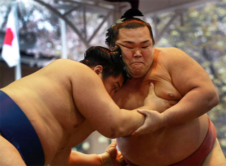 Nhìn những thân hình đầy mỡ của các tay sumo, chúng ta sẽ liên tưởng đến những người béo phì đầy bệnh tật và những nguy cơ tim mạch, cao huyết áp, tiểu đường... Nhưng thật sự không phải như vậy. Nhìn những thân hình đầy mỡ của các tay sumo, chúng ta sẽ liên tưởng đến những người béo phì đầy bệnh tật và những nguy cơ tim mạch, cao huyết áp, tiểu đường... Nhưng thật sự không phải như vậy.