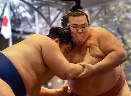 Nhìn những thân hình đầy mỡ của các tay sumo, chúng ta sẽ liên tưởng đến những người béo phì đầy bệnh tật và những nguy cơ tim mạch, cao huyết áp, tiểu đường... Nhưng thật sự không phải như vậy. Nhìn những thân hình đầy mỡ của các tay sumo, chúng ta sẽ liên tưởng đến những người béo phì đầy bệnh tật và những nguy cơ tim mạch, cao huyết áp, tiểu đường... Nhưng thật sự không phải như vậy.