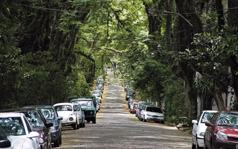 Chiến dịch đã thu hút được sự quan tâm của truyền thông quốc tế, khiến cho kế hoạch đốn hạ cây trên con đường bị hủy bỏ.