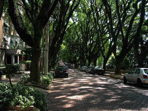 Hai hàng cây này tạo nên một "đường hầm" thiên nhiên có 1-0-2, khiến con đường luôn mát rượi giữa những ngày oi bức nhất.