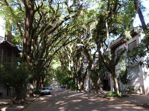 Trước tình hình đó, người dân thành phố đã phát động một chiến dịch kêu gọi bảo vệ con đường.