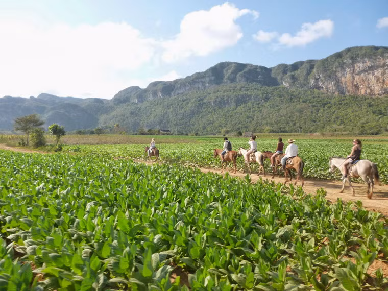 Khám phá vùng thung lũng trên lưng ngựa là hoạt động hấp dẫn nhiều du khách quốc tế.