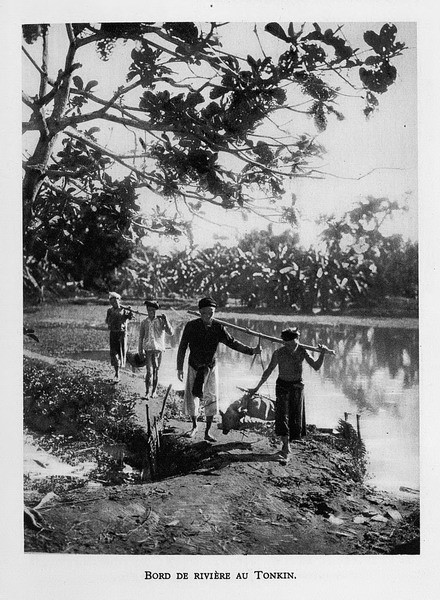 Trên một bờ sông ở Bắc Kỳ.