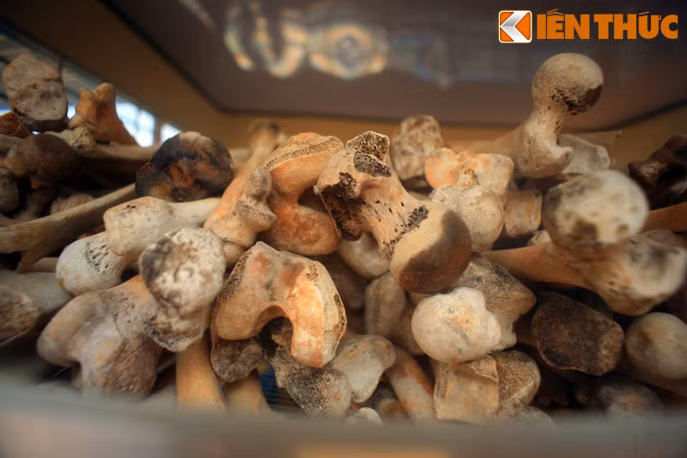 Những người sống sót trốn được vào núi Tượng, tuy nhiên họ bị phát hiện ra vài ngày sau. Phần lớn nạn nhân bị bắn, chém, chặt đầu. Nhiều phụ nữ bị hãm hiếp, bị đóng cọc vào chỗ kín, trẻ em thì bị đâm lê trước khi giết chết...