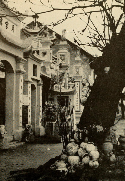 Các "Ông bình vôi" được chất đầy trên gốc cây thiêng ngoài cổng một ngôi đền ở Thanh Hóa.