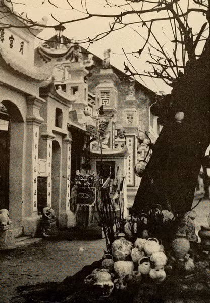 Các "Ông bình vôi" được chất đầy trên gốc cây thiêng ngoài cổng một ngôi đền ở Thanh Hóa.