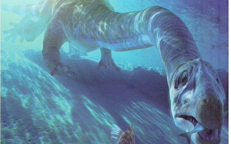 Tanystropheus có cổ dài để tiện săn con mồi ở khoảng cách xa. Loại cá này có hàm răng vô cùng sắc nhọn và rất nguy hiểm đối với loài người