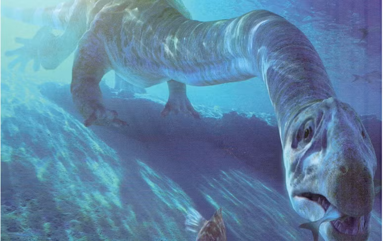 Tanystropheus có cổ dài để tiện săn con mồi ở khoảng cách xa. Loại cá này có hàm răng vô cùng sắc nhọn và rất nguy hiểm đối với loài người