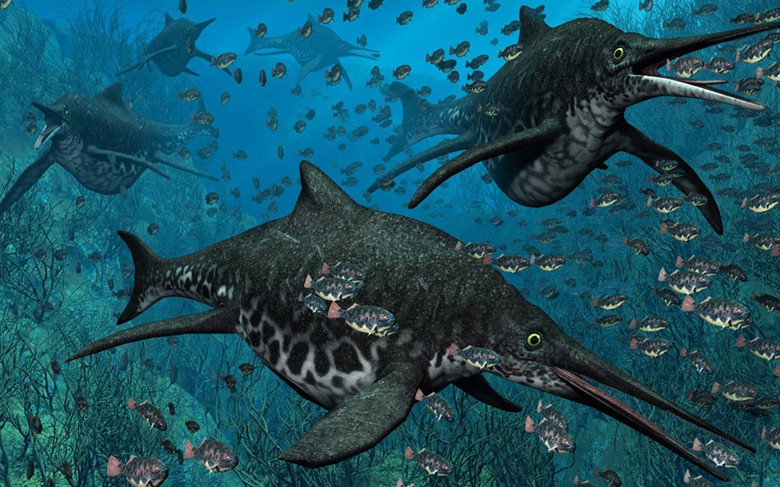 Shastasaurus trông có phần giống cá heo nhưng kích thước lớn hơn, và chiếc miệng dài như lưỡi kiếm