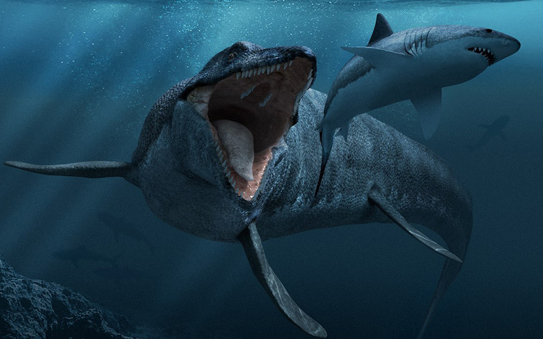 Loại cá sấu Mosasaurus có hàm răng sắc nhọn, rất nguy hiểm đối với loài người