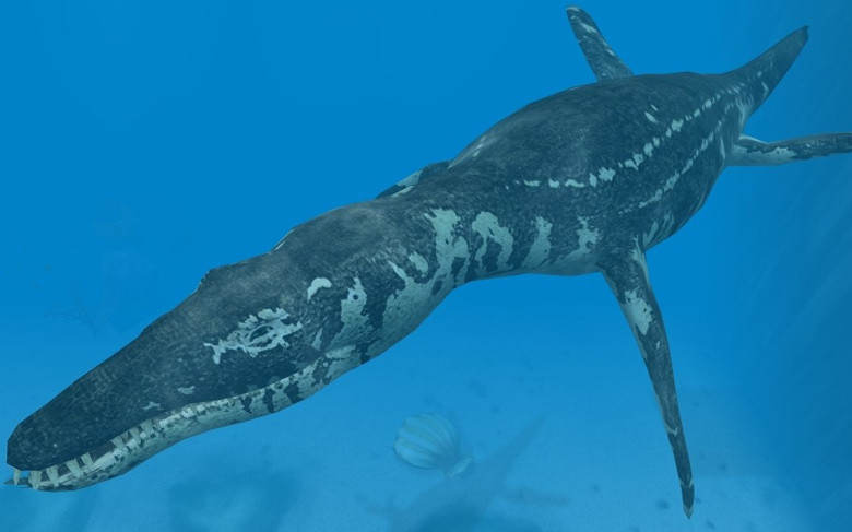 Loài "thủy quái" Liopleurodon được phát hiện chủ yếu ở châu Âu. Liopleurodon có chiều dài "khủng" có thể kéo dài từ trần nhà tới sàn nhà