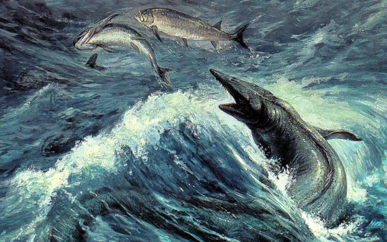 Tylosaurus cũng là loài cá rất nguy hiểm đối với loài người. Địa bàn cư ngụ của chúng chủ yếu ở Bắc Mỹ. Loài cá khổng lồ này có thể bật lên cao khỏi mặt nước để săn mồi