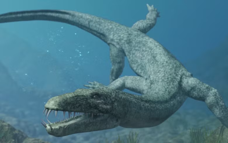 Nothosaurus là một "gã thợ săn" tài ba nhờ tốc độ di chuyển siêu nhanh và hàm răng lợi hại