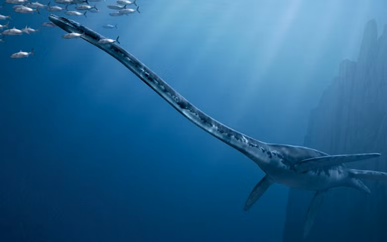 Thalassomedon là loài cá hiếm có chiếc cổ siêu dài, được mênh danh là Chúa tể của biển khơi (Sea Lord)