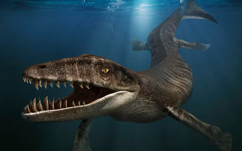 Loài "thủy quái" Dakosaurus được phát hiện chủ yếu ở Đức, trông như nhân vật trong phim hoạt hình công viên kỷ Jura (Jurassic Park) bởi hình dáng hệt như chú khủng long