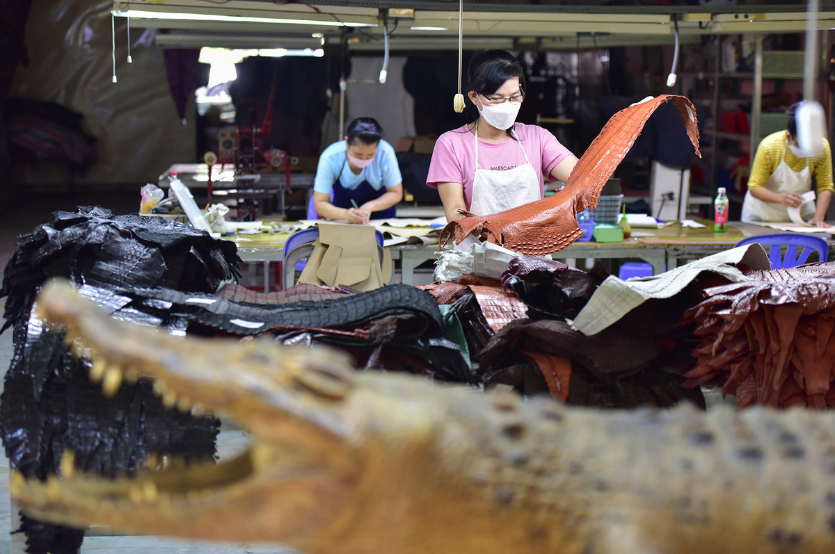 Cá sấu thương phẩm khi cân nặng 20-30kg thịt sẽ được xuất bán, lấy da để phục vụ riêng cho xưởng thủ công tại trại. Da cá sấu sẽ được công nhân thực hiện thủ công tất cả các công đoạn từ thuộc da, thiết kế, may khâu các sản phẩm như túi xách, thắt lưng, ví da, giày dép… bày bán tại trại và xuất khẩu.