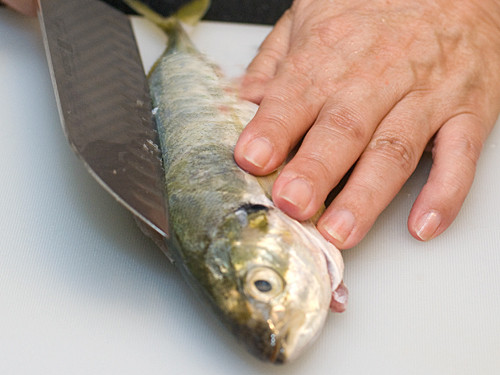 Trực tiếp mổ động vật tươi sống. Hiện nay, có quá nhiều người đang bị phụ thuộc vào nguồn thịt làm sẵn và đông lạnh, điều này không những làm giảm bớt chất dinh dưỡng trong thực phẩm mà còn tăng nguy cơ ngộ độc bởi thực phẩm quá hạn. Vậy tại sao bạn không chọn cách mổ thịt động vật tươi sống, nó giúp bạn tiết kiệm chi phí hơn cũng như đảm bảo dinh dưỡng cho cả gia đình.