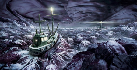 Một trong những bức ảnh ưa thích của Carl chính là con thuyền lênh đên trên "biển" bắp cải tím này. Bởi vì nguyên liệu và sự chuẩn bị cho bức ảnh này rất đơn giản, nhưng lại tạo nên hiệu ứng cực tốt.