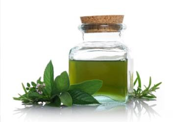 Tinh dầu bạc hà. Tinh dầu bạc hà được nhiều người ưu chuộng bởi những tác dụng tuyệt vời như tốt cho hệ tiêu hóa, chữa trị các bệnh đường ruột, cảm sốt, giúp long đờm, thông mũi, mát họng, giảm căng thẳng và mất ngủ, giúp lưu thông máu, làm tinh thần phấn chấn, tăng cường hệ miễn dịch, giảm đau, làm đẹp da và trị gàu.