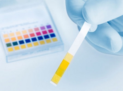 Phương pháp Alkaline là một trong ba chế độ ăn uống kinh khủng nhất năm 2013. Alkaline dựa trên nguyên tắc cơ bản là chỉ nên ăn những loại thức ăn tính kiềm. Chế độ này yêu cầu khá ngặt nghèo về việc kiểm soát nên hay không nên ăn gì. Alkaline cấm tuyệt đối việc dung nạp các loại ngũ cốc đã qua chế biến (bao gồm cả bánh mì) và đường, hạn chế ăn thịt và những sản phẩm từ sữa. Vì chế độ ăn này quá khắt khe nên không nhiều người duy trì được lâu. Hơn thế nữa, cắt giảm các loại thực phẩm lành mạnh đồng nghĩa với việc bạn đã bỏ lỡ nhiều dưỡng chất cần thiết cho sức khỏe và đời sống mỗi ngày.