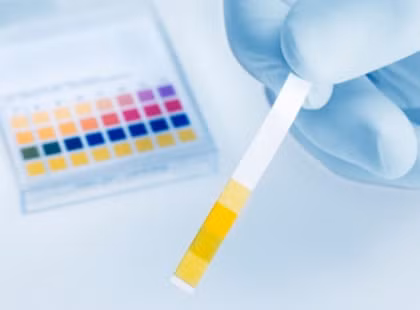 Phương pháp Alkaline là một trong ba chế độ ăn uống kinh khủng nhất năm 2013. Alkaline dựa trên nguyên tắc cơ bản là chỉ nên ăn những loại thức ăn tính kiềm. Chế độ này yêu cầu khá ngặt nghèo về việc kiểm soát nên hay không nên ăn gì. Alkaline cấm tuyệt đối việc dung nạp các loại ngũ cốc đã qua chế biến (bao gồm cả bánh mì) và đường, hạn chế ăn thịt và những sản phẩm từ sữa. Vì chế độ ăn này quá khắt khe nên không nhiều người duy trì được lâu. Hơn thế nữa, cắt giảm các loại thực phẩm lành mạnh đồng nghĩa với việc bạn đã bỏ lỡ nhiều dưỡng chất cần thiết cho sức khỏe và đời sống mỗi ngày.