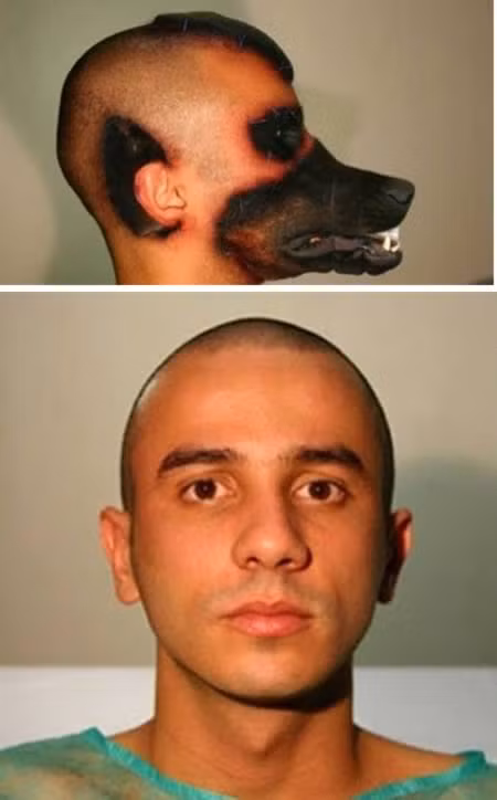 Người đàn ông Brazil phẫu thuật để giống chó. Một bài báo vô cùng sốc kể về một người đàn ông quá “kết” ngoại hình chó tới nỗi đi phẫu thuật để trông giống vậy. Theo bài báo, người đàn ông này giữ kín danh tính và đã đưa cho bác sỹ một số tiền cực lớn để phẫu thuật có khuôn mặt giống loài chó. Các bác sỹ đã cấy tai, mũi, môi, mí mắt của những con chó chết cho anh ta. Anh này cũng được gọi là người-chó đầu tiên trên thế giới. Nhưng sau đó người ta phát hiện ra những hình ảnh đó không phải là sự thật. Mà đây chỉ là tác phẩm của nghệ sỹ biểu diễn người Brazil Rodrigo Braga.