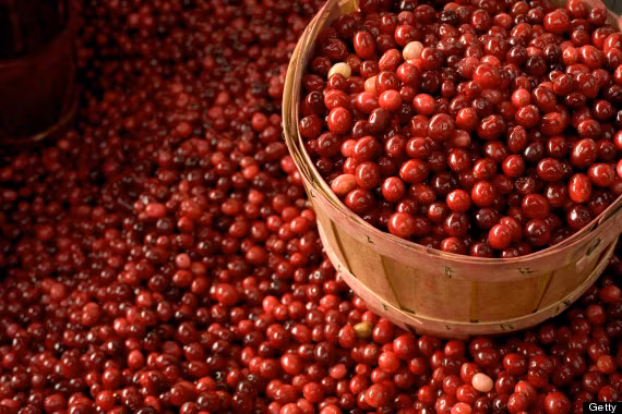 Nam việt quất giúp tăng cường cholesterol tốt và giúp ngăn ngừa bệnh nhiễm trùng đường tiết niệu. Trái nam việt quất có hình dạng gần giống như cà chua bi nhưng đỏ và nhỏ hơn.