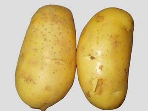 Khoai tây chứa nhiều Carbohydrate - Carbohydrate khi được kết hợp với chất tryptophan sẽ càng khiến cơn buồn ngủ đến nhanh hơn. Vì thế, nếu muốn có giấc ngủ ngon, bạn hãy bổ sung khoai tây vào bữa ăn của mình. Nhưng nếu bạn đang muốn giảm cân thì chỉ ăn khoai tây với một lượng vừa phải.