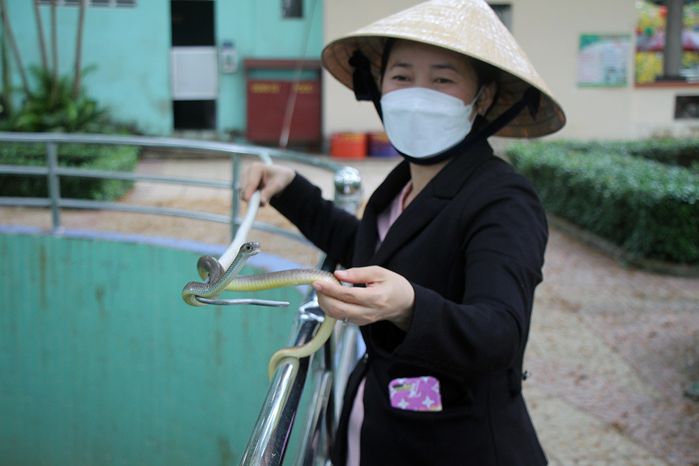 Rắn ráo có ngoại hình thon dài. Loài rắn này không có độc, hiền lành và nhút nhát.