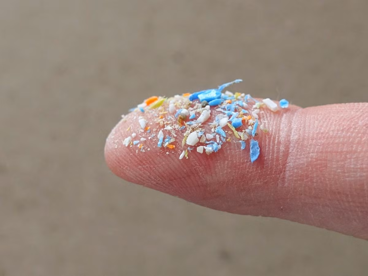 Hat vi nhua xuat hien o noi rat kho lot qua cua phoi