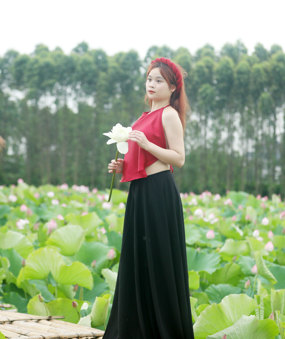 Du khach toi tham quan dam sen bat ngat o Bac Giang-Hinh-5