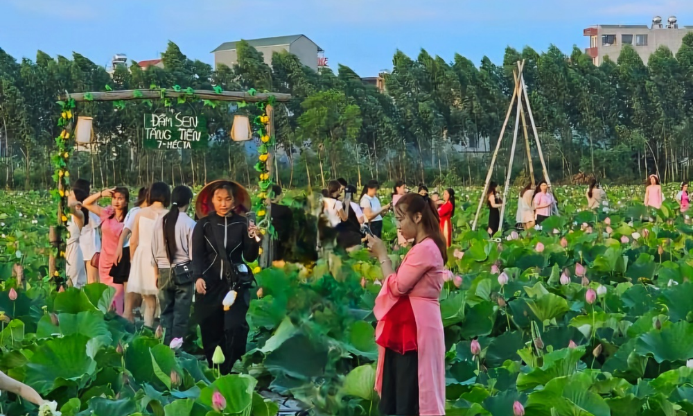 Du khach toi tham quan dam sen bat ngat o Bac Giang-Hinh-9