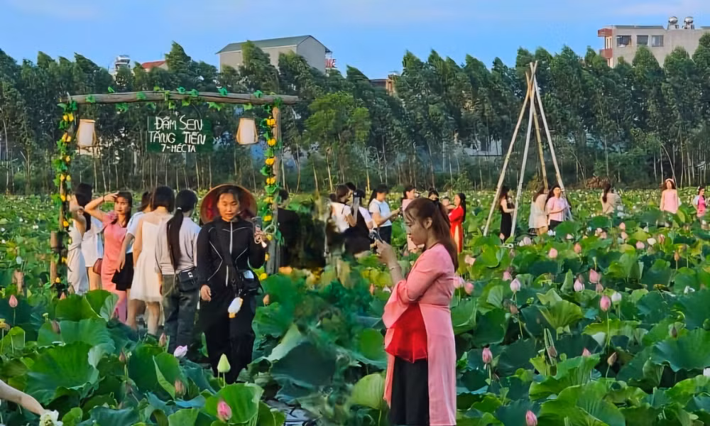 Du khach toi tham quan dam sen bat ngat o Bac Giang-Hinh-9