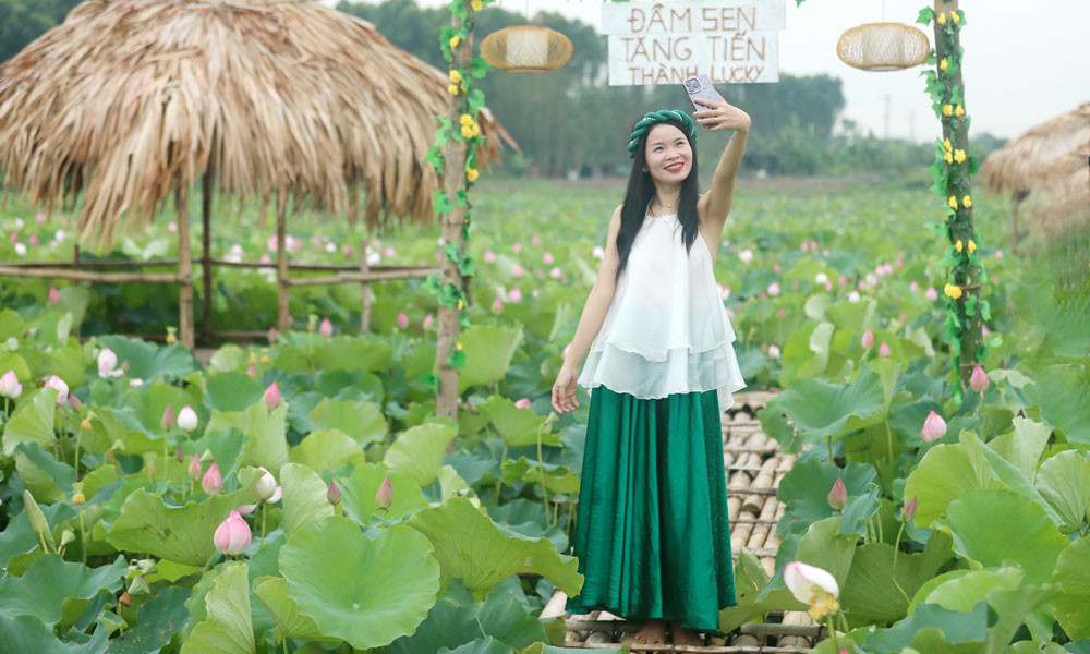 Du khach toi tham quan dam sen bat ngat o Bac Giang-Hinh-10