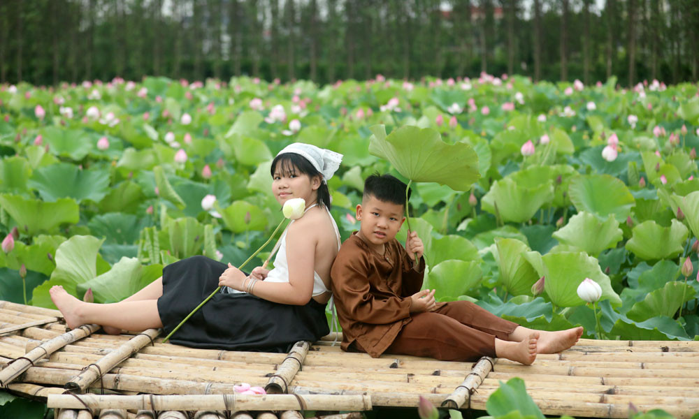 Du khach toi tham quan dam sen bat ngat o Bac Giang-Hinh-7