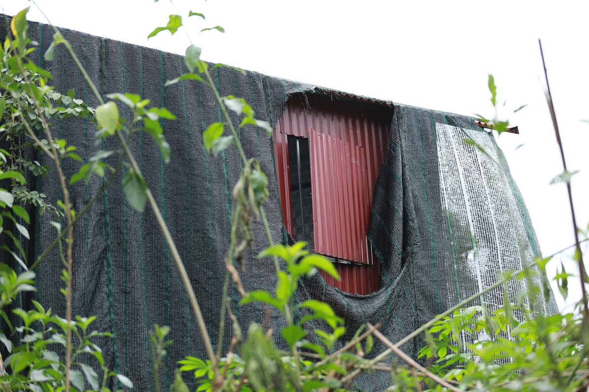 Hang xom bang hoang truoc vu co gai tre nghi bi cau ruot sat hai-Hinh-6