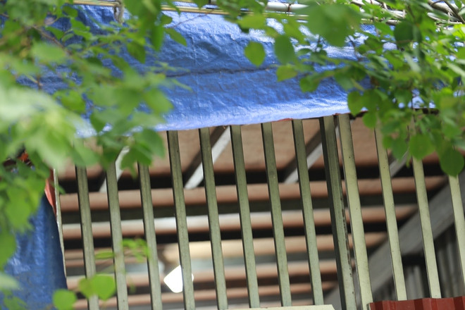 Hang xom bang hoang truoc vu co gai tre nghi bi cau ruot sat hai-Hinh-5