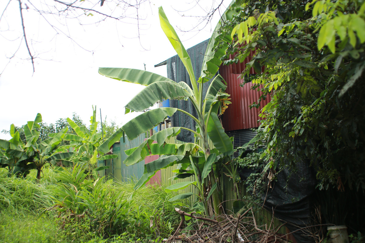 Hang xom bang hoang truoc vu co gai tre nghi bi cau ruot sat hai-Hinh-3