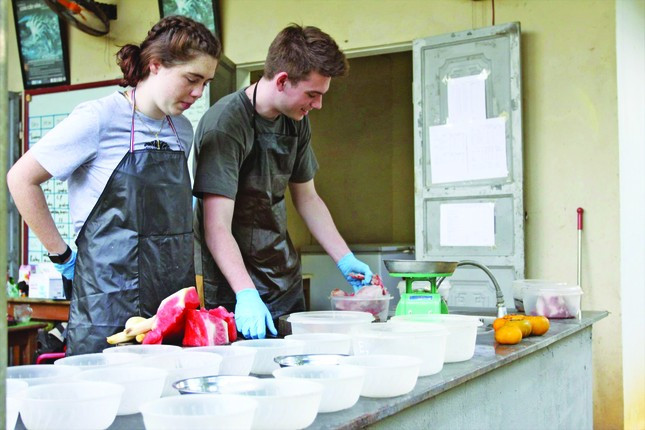 Nhung chu meo rung o Cuc Phuong-Hinh-2