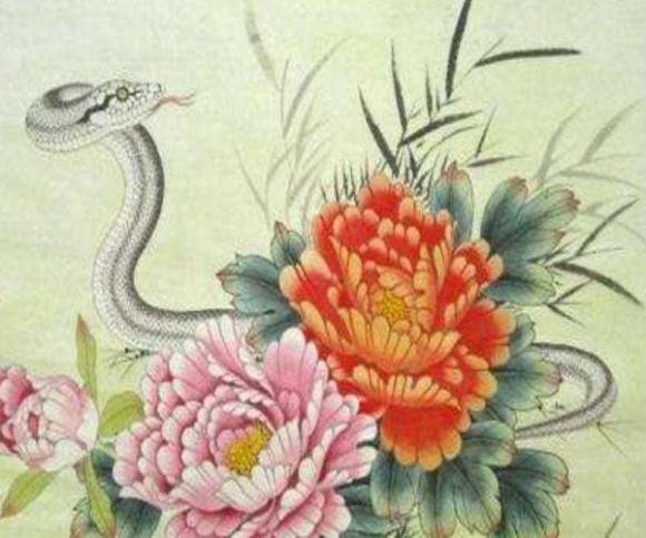 Từ tâm luôn làm cho con người trở nên sáng suốt, và thế giới trở nên nhẹ nhàng. Tin rằng con rắn có thể được đền đáp xứng đáng, và có thể trở thành đối tượng ngưỡng mộ của mọi người. 