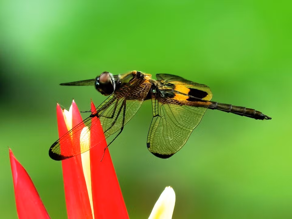 Nguoi co gio sinh nay thang 3 gap chuyen tot