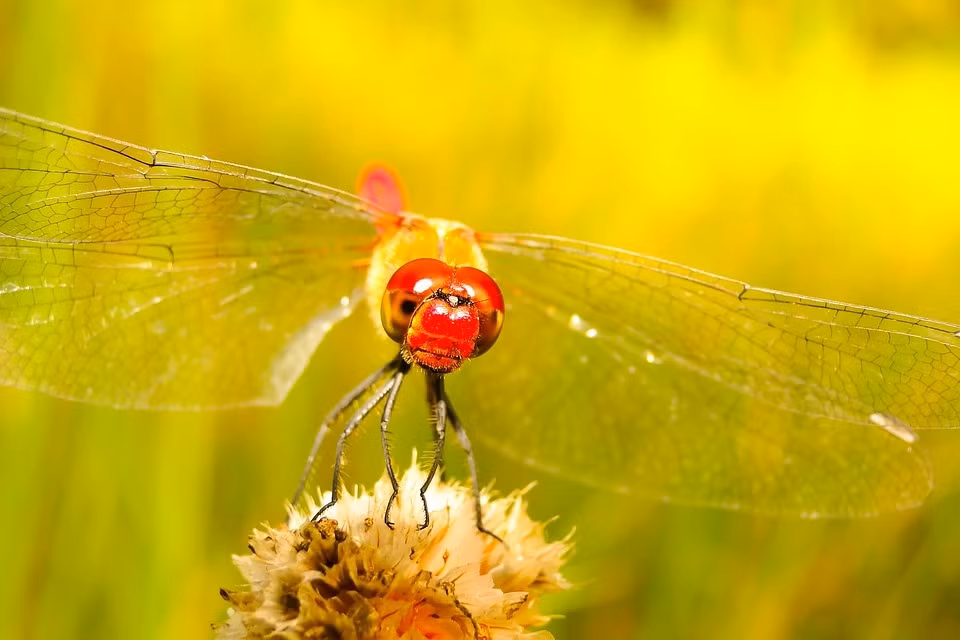 Nguoi co gio sinh nay thang 3 gap chuyen tot-Hinh-4