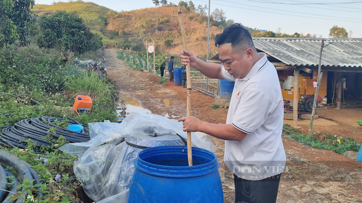 Trồng dâu tây bạt ngàn, nông dân tỷ phú Sơn La bán đắt hàng - Hình 5 Trong dau tay bat ngan, nong dan ty phu Son La ban dat hang-Hinh-5