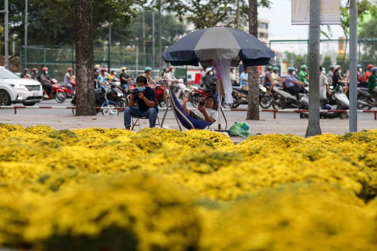"Cùng thời điểm này vào năm ngoái chợ nhộn nhịp lắm, năm nay do thời tiết lạnh nhiều, tiểu thương không nhập được hàng nên chưa dọn ra. Nhà vườn cung cấp hoa cho tôi ở Bến Tre đã phải hủy hơn một nửa số lượng cúc mâm xôi do hoa không đạt chất lượng", anh Tuấn Anh (chủ gian hàng cúc mâm xôi) cho biết.
