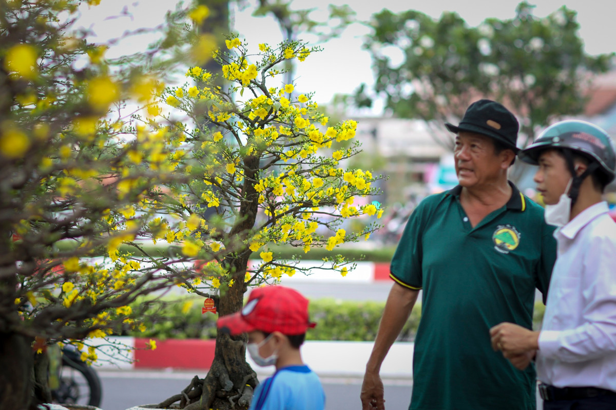 Vườn mai của ông Phương thu hút khá nhiều khách hàng là công ty, doanh nghiệp mua sớm về trang trí Tết. "Tôi đi dọc hết tuyến đường Phạm Văn Đồng nhưng đa số các cây mai tại đây đều chưa ra nụ, cũng may cuối cùng cũng tìm được chỗ có cây mai ưng ý", anh Chính (TP Thủ Đức) chia sẻ.