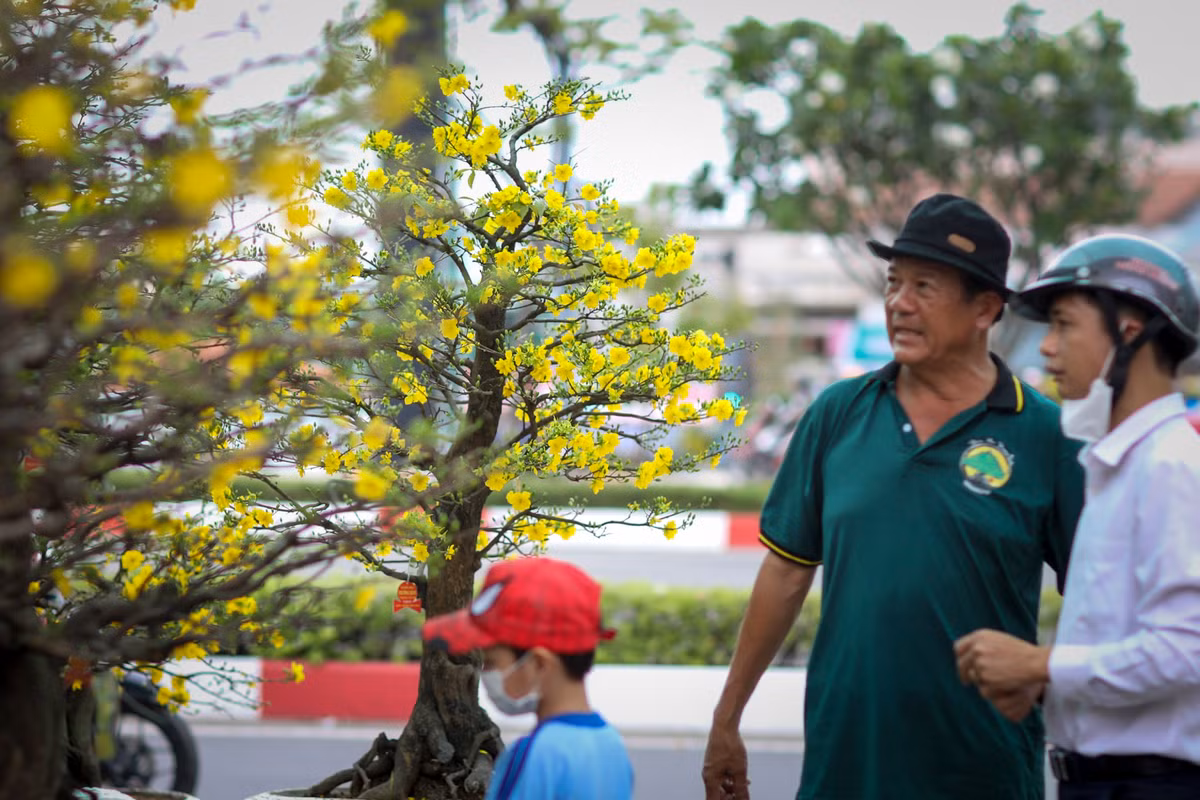 Vườn mai của ông Phương thu hút khá nhiều khách hàng là công ty, doanh nghiệp mua sớm về trang trí Tết. "Tôi đi dọc hết tuyến đường Phạm Văn Đồng nhưng đa số các cây mai tại đây đều chưa ra nụ, cũng may cuối cùng cũng tìm được chỗ có cây mai ưng ý", anh Chính (TP Thủ Đức) chia sẻ.