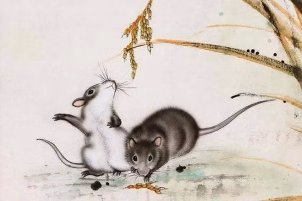 Thay tu vi phan: 3 thang nua, 4 con giap se het van han-Hinh-4