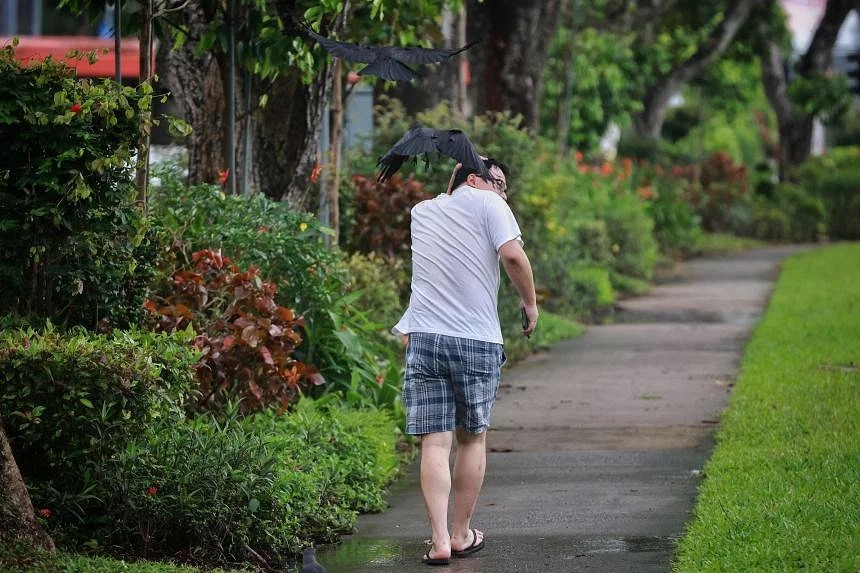 Qua hung han lien tuc sa xuong tan cong nguoi